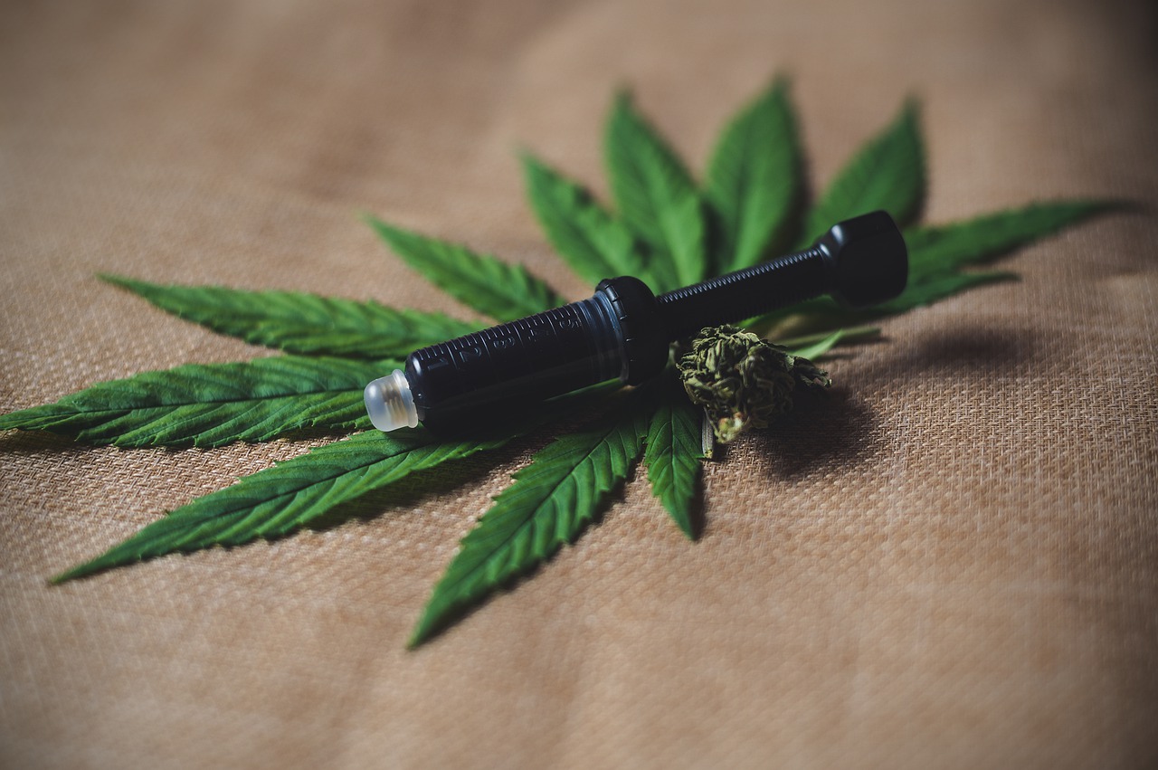 cbd oil